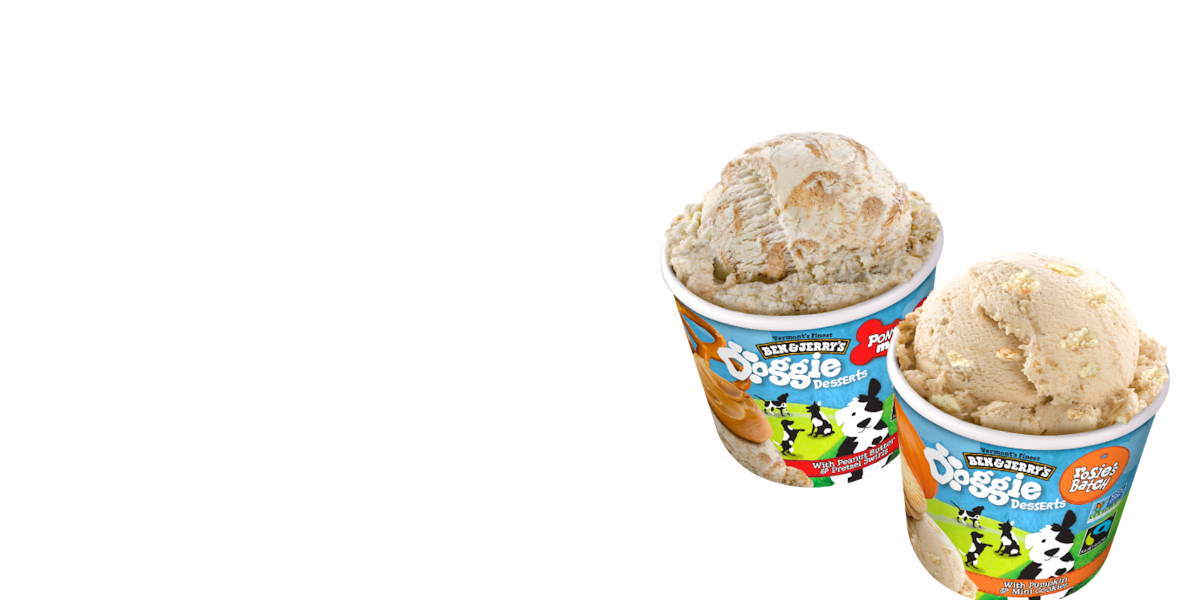 Doggie Desserts Ben Jerry s